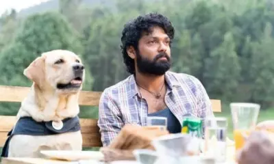 FIR filed against Kannada film star Rakshit Shetty for copyright violation