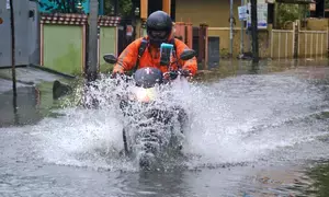 Heavy rains to hit coastal Maha for two days; Red Alert in Raigad-Ratnagiri