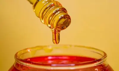 Myanmar exports over 500 tonnes of honey in April-June