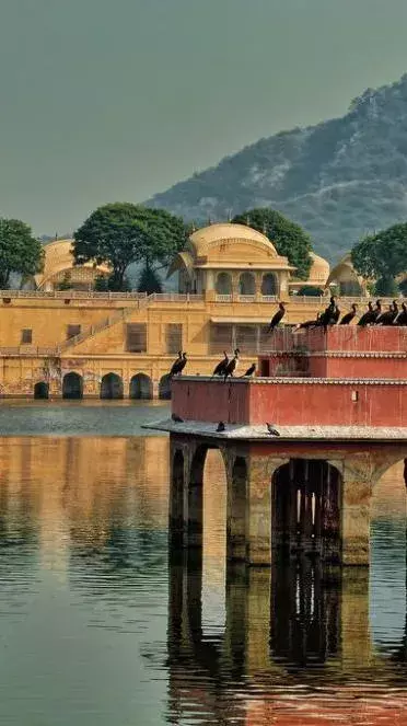 Facts About The Jal Mahal: The Water Palace of Jaipur
