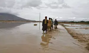 Death toll rises to 40 from rainstorms, flash floods in Afghanistan (Lead)