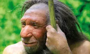 Chinese, US scientists identify gene flow of modern humans with Neanderthals