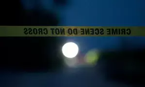 Bodies found in Bangkok hotel: local media