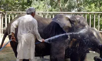 Pakistans Karachi might face elevated temperature