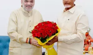 Centre, Andhra Pradesh will devise recovery plan: Chandrababu Naidu