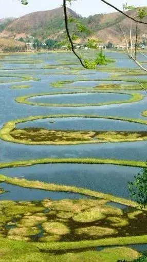 10 Key Facts About Loktak Lake
