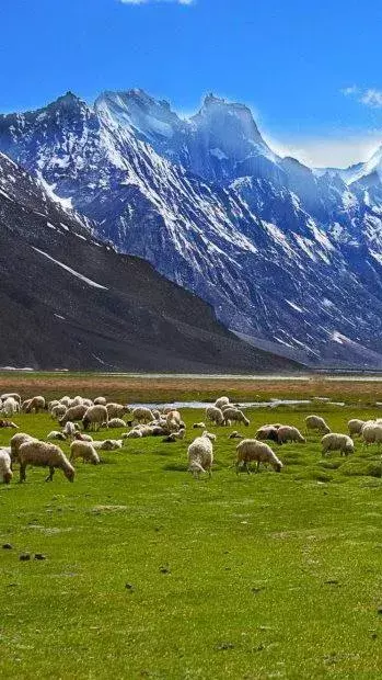 Top 5 Peaceful Destinations in India for Serenity Seekers
