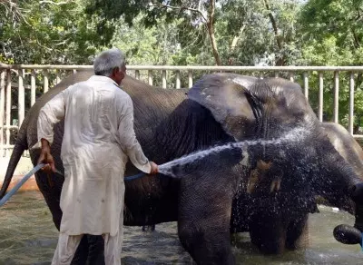 Pakistans Karachi might face elevated temperature