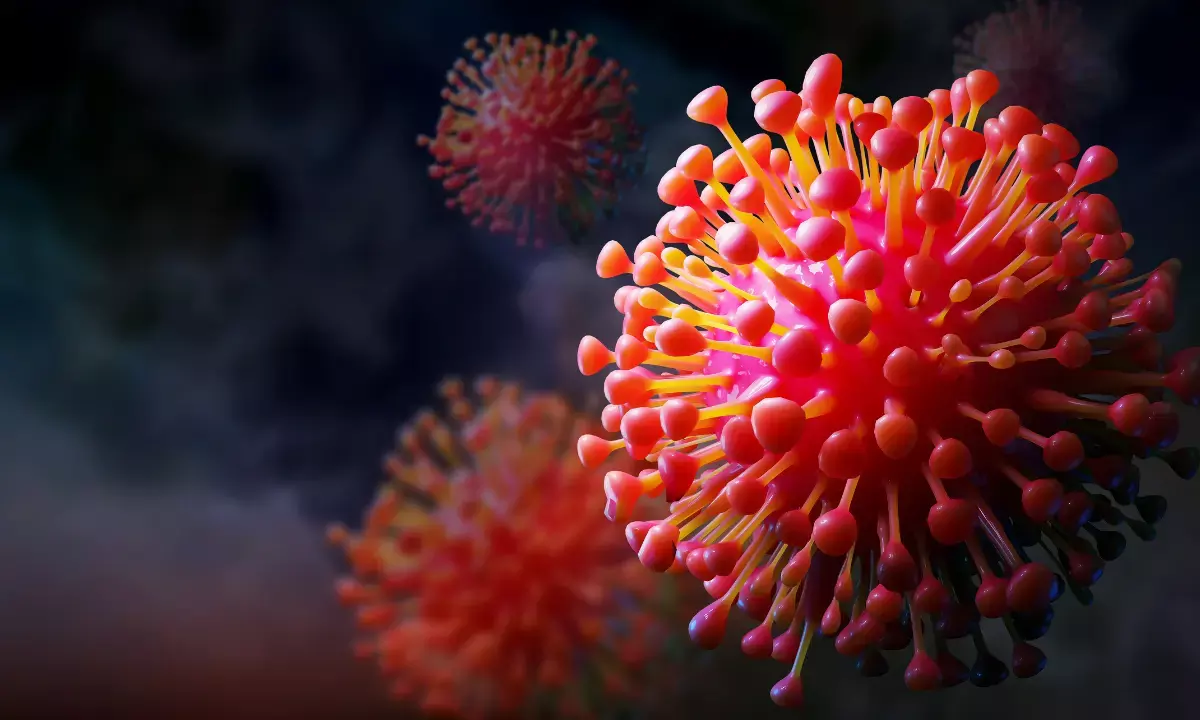 Chandipura Virus Outbreak Raises Alarm in Gujarats Aravalli District