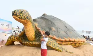 At Puri beach, huge art installation on Olive Ridley turtles calls for its conservation