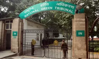NGT seeks report on waste dumping in Himachals Koksar
