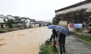 Trains suspended, people evacuated as downpours lash China