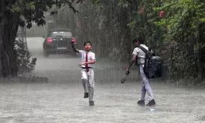 Monsoon to be active in peninsular & central India for next 5 days: IMD