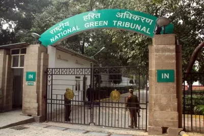NGT seeks report on waste dumping in Himachals Koksar NGT seeks report on waste dumping in Himachals Koksar