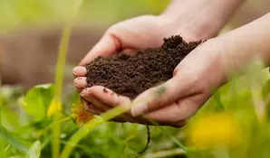 Laos plans to boost sustainable agriculture