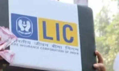 LIC shares surge nearly 80 per cent in one year