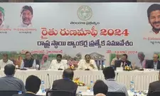 Telangana to release Rs 31,000 crore for crop loan waiver