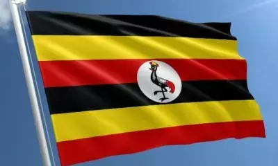 Ugandas coffee export earnings reach 30-year high