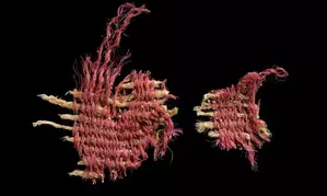 Israeli researchers identify 3800-year-old textile dyed red with scale insects
