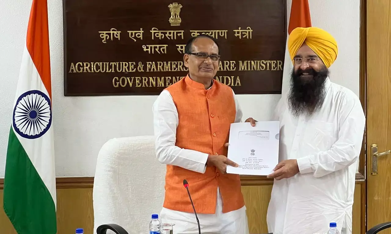 Punjab seeks approval for next gen BG-3 cotton seeds