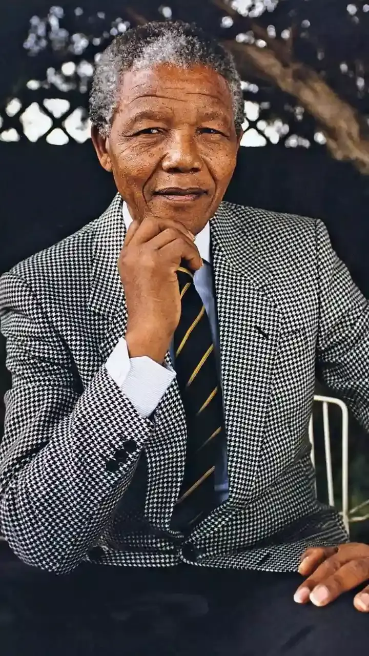 Nelson Mandela: Insights into the Life of a Global Icon