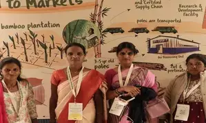 Govt giving big push to bamboo farming, aims to create 1 million  Lakhpati Didis