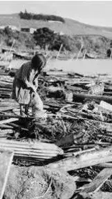 Nine Devastating Earthquakes in Indian History