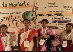 Govt giving big push to bamboo farming, aims to create 1 million  Lakhpati Didis