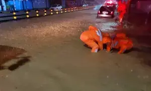 Torrential rain alerts issued in S. Korea