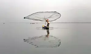 Banning juvenile fishing led to 41 pc increase in yield: CMFRI