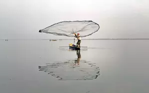 Banning juvenile fishing led to 41 pc increase in yield: CMFRI