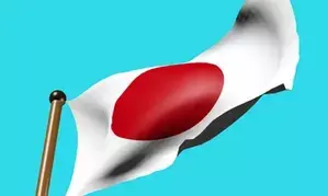 Bankruptcies in Japan surge to decade high: Survey