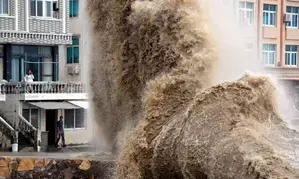 Typhoon Prapiroon brings rainstorms, strong gusts to China