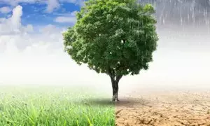 India made significant progress on climate action: Economic Survey