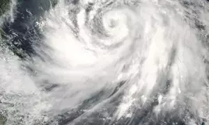 Typhoon Prapiroon brings rainstorms, strong gusts to China (Ld)