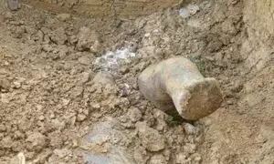 Action demanded about wild elephant found buried inside Assam oil refinery