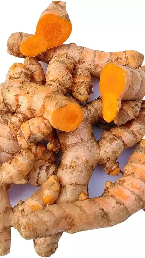10 Important Health Benefits of Turmeric