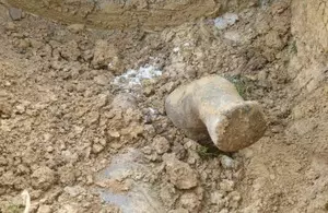 Action demanded about wild elephant found buried inside Assam oil refinery