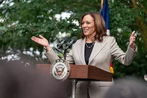 Democrats challenge is to quickly translate Kamala Harriss unshakeable support into nomination (Lead)