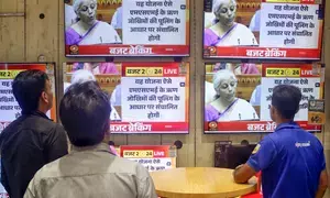 Budget will steer India towards sustainable path: Experts