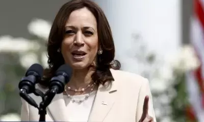 Kamala Harris secures majority of delegates, Trump campaign targets her on border invasion