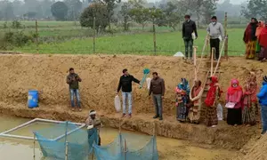 Budget gives big push to fisheries sector with 54 per cent hike in outlay