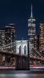 Five of the Most Famous Bridges in the World