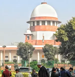 SC delivers split verdict on release of GM mustard SC delivers split verdict on release of GM mustard
