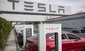 Tesla’s profit tanks 45 pc in Q2, Musk plans to reveal robotaxi in October