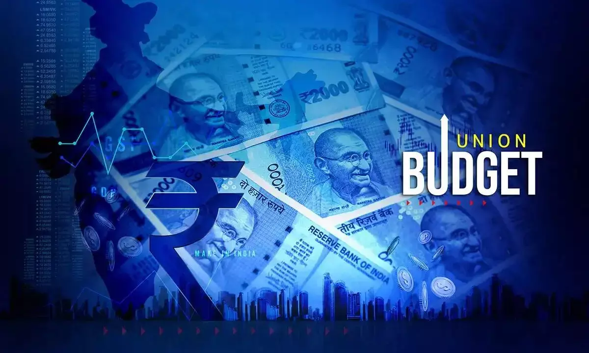 Punjab Womens Commission Chair Slams 2024 Union Budget as Ignoring Womens Needs