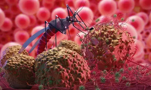 Chandipura Virus Claims 15 Lives in India, Gujarat on High Alert