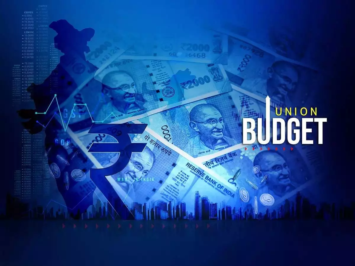 Punjab Womens Commission Chair Slams 2024 Union Budget as Ignoring Womens Needs