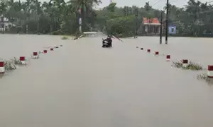 Two dead, five missing in Vietnams flash floods