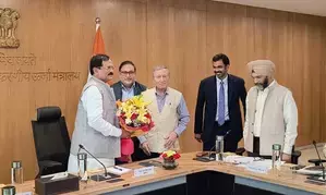 Govt assures green energy sector of support under PLI scheme